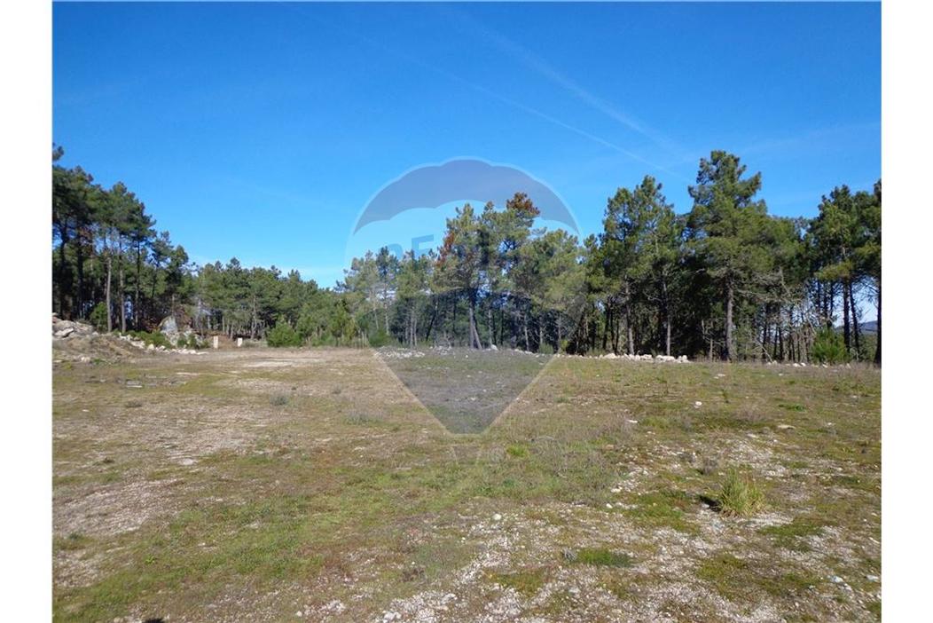 Склад 18525м² в Агиар да Бейра, Португалия № 77180