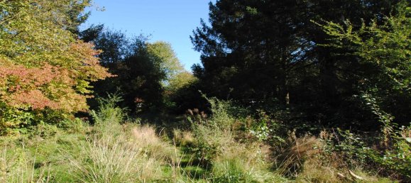 Terrain à Wandsbek, Germany No. 26313 5