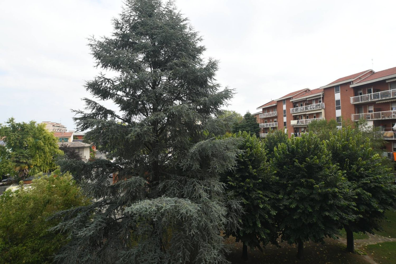 4 bedrooms Apartment in Alessandria, Italy No. 168384