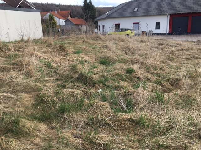  Land in Unterallgau, Germany No. 212316