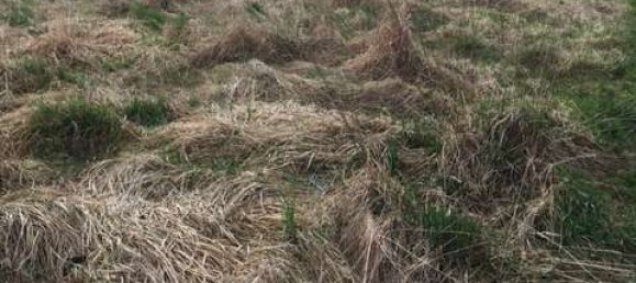  Land in Unterallgau, Germany No. 212316 2