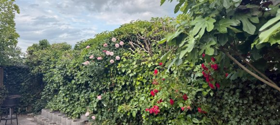 Moradia em banda T2 em Holzminden, Germany N.º 235293 2