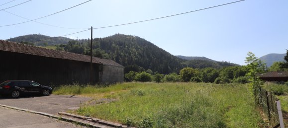  Land in Mollau, France No. 88273 3
