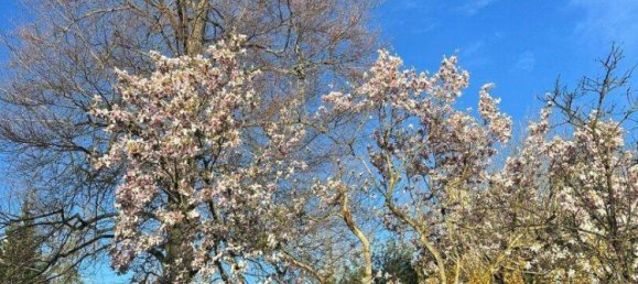  قطعة أرض في Wels, Austria رقم 166029 16