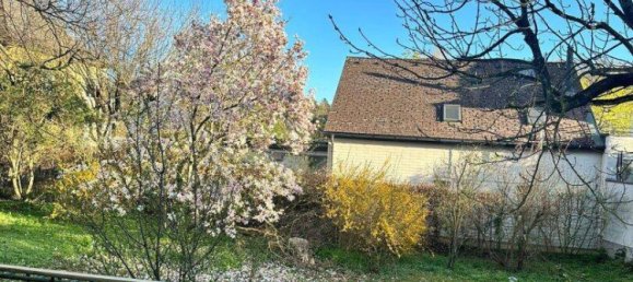  قطعة أرض في Wels, Austria رقم 166029 10