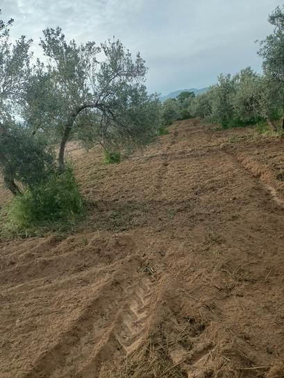 3200m² Land in Alhendin, Spain No. 187277