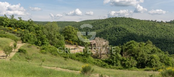 5 bedrooms House in San Casciano dei Bagni, Italy No. 27504 30