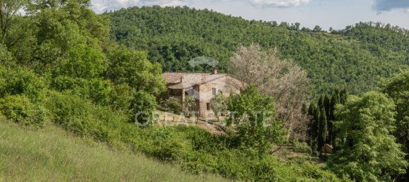 5 bedrooms House in San Casciano dei Bagni, Italy No. 27504 31