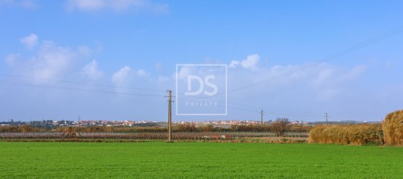3 Schlafzimmer Haus in Torres Vedras, Portugal, Nr. 85896 32