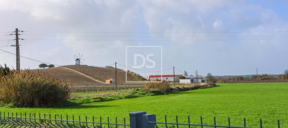 3 Schlafzimmer Haus in Torres Vedras, Portugal, Nr. 85896 25