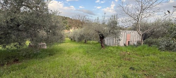 Terrain à Fonte Nuova, Italy 2580m² No. 40133 12