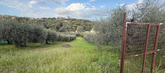 Terrain à Fonte Nuova, Italy 2580m² No. 40133 10