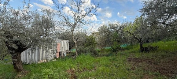 Terrain à Fonte Nuova, Italy 2580m² No. 40133 6