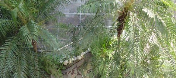 4 Schlafzimmer Haus in Tay Ho, Vietnam, Nr. 2108 20