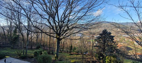 5 غرف نوم منزل في Guebwiller, France رقم 153235 3