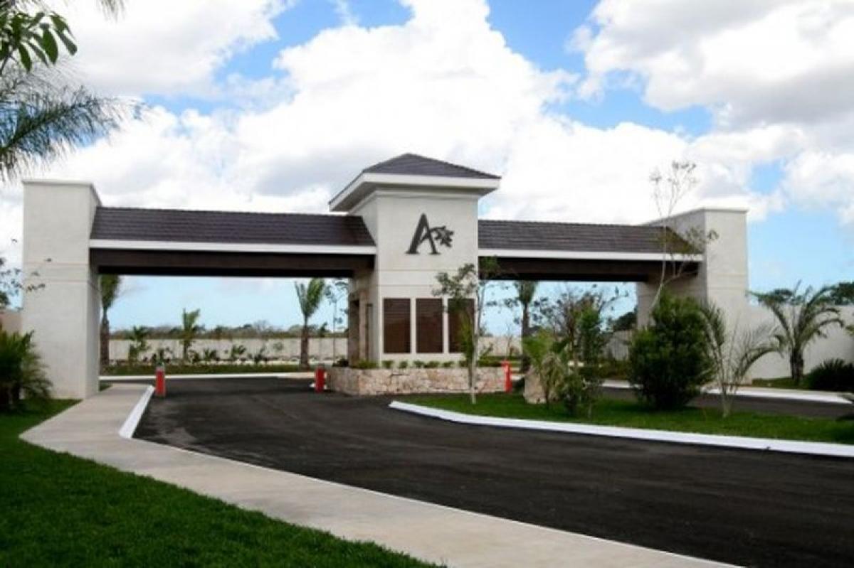  قطعة أرض في Merida, Mexico رقم 97859