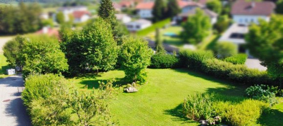 Terrain à Krenglbach, Austria No. 151421 2