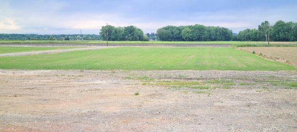 Land in Strass in Steiermark, Austria No. 163968 4