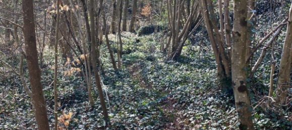 3 غرف نوم منزل في Wingen-sur-Moder, France رقم 94912 33