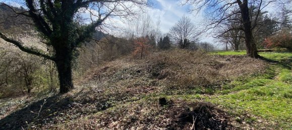 3 غرف نوم منزل في Wingen-sur-Moder, France رقم 94912 30