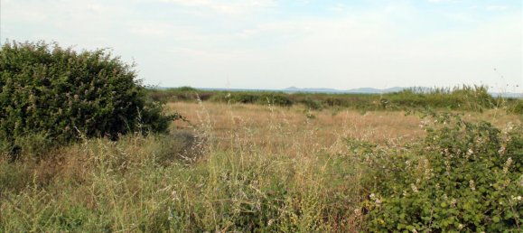 10550m² Hotel in Chalkidiki, Greece No. 7759 3