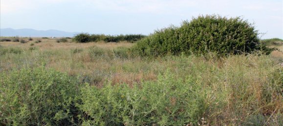 10550m² Hotel in Chalkidiki, Greece No. 7759 2