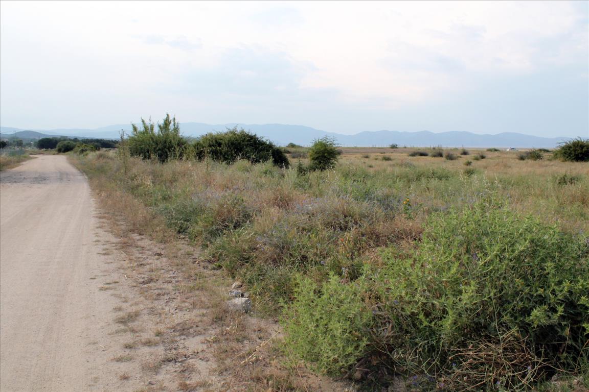 10550m² Hotel for sale in Chalkidiki, Central Macedonia, Macedonia and Thrace, Greece № 7759