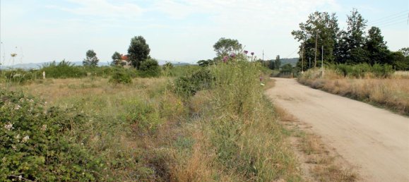 10550m² Hotel for sale in Chalkidiki, Central Macedonia, Macedonia and Thrace, Greece № 7759 4