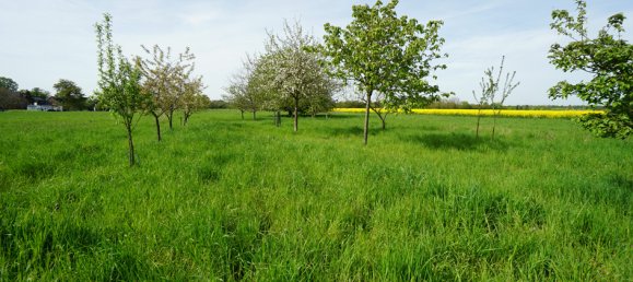 4 Schlafzimmer Haus in Wesel, Germany, Nr. 172494 20