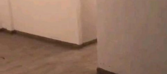 2 bedrooms Apartment in Wuppertal, Germany No. 309697 8