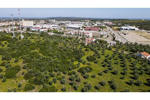 Land in Estremoz, Portugal No. 281651