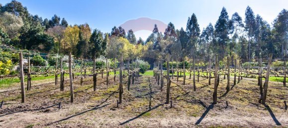 9 bedrooms House in Santo Tirso, Portugal No. 55744 21