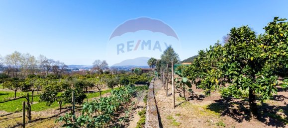 9 bedrooms House in Santo Tirso, Portugal No. 55744 23