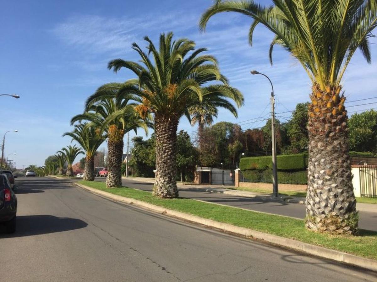 6 chambres Maison à Valparaiso, Chile No. 3780