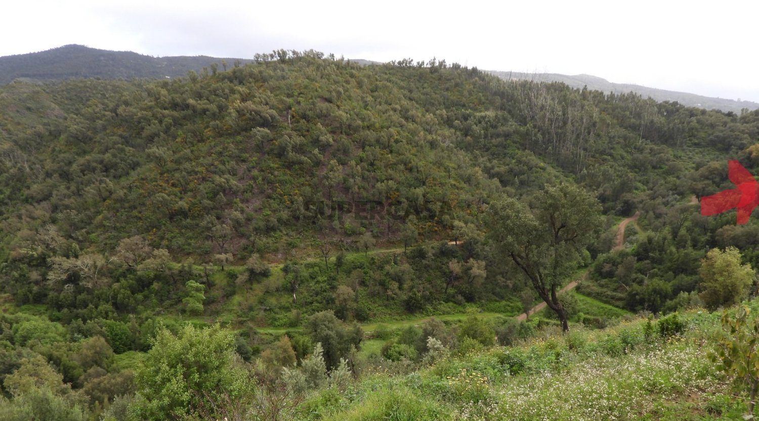  Land in Monchique, Portugal No. 334669