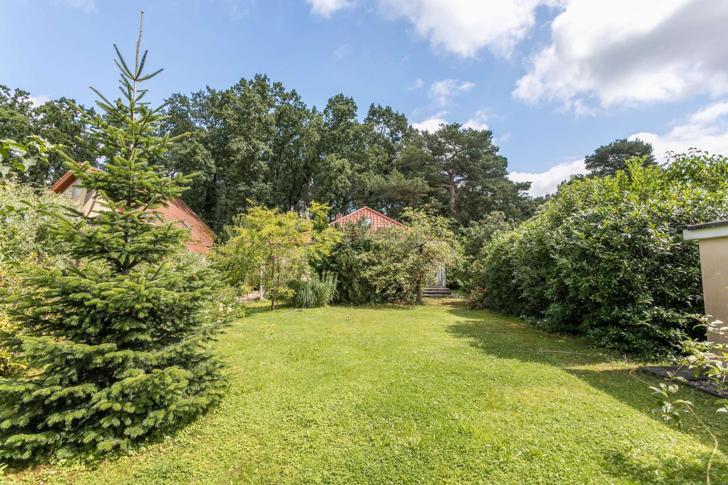  Land in Hakenfelde, Germany No. 229655