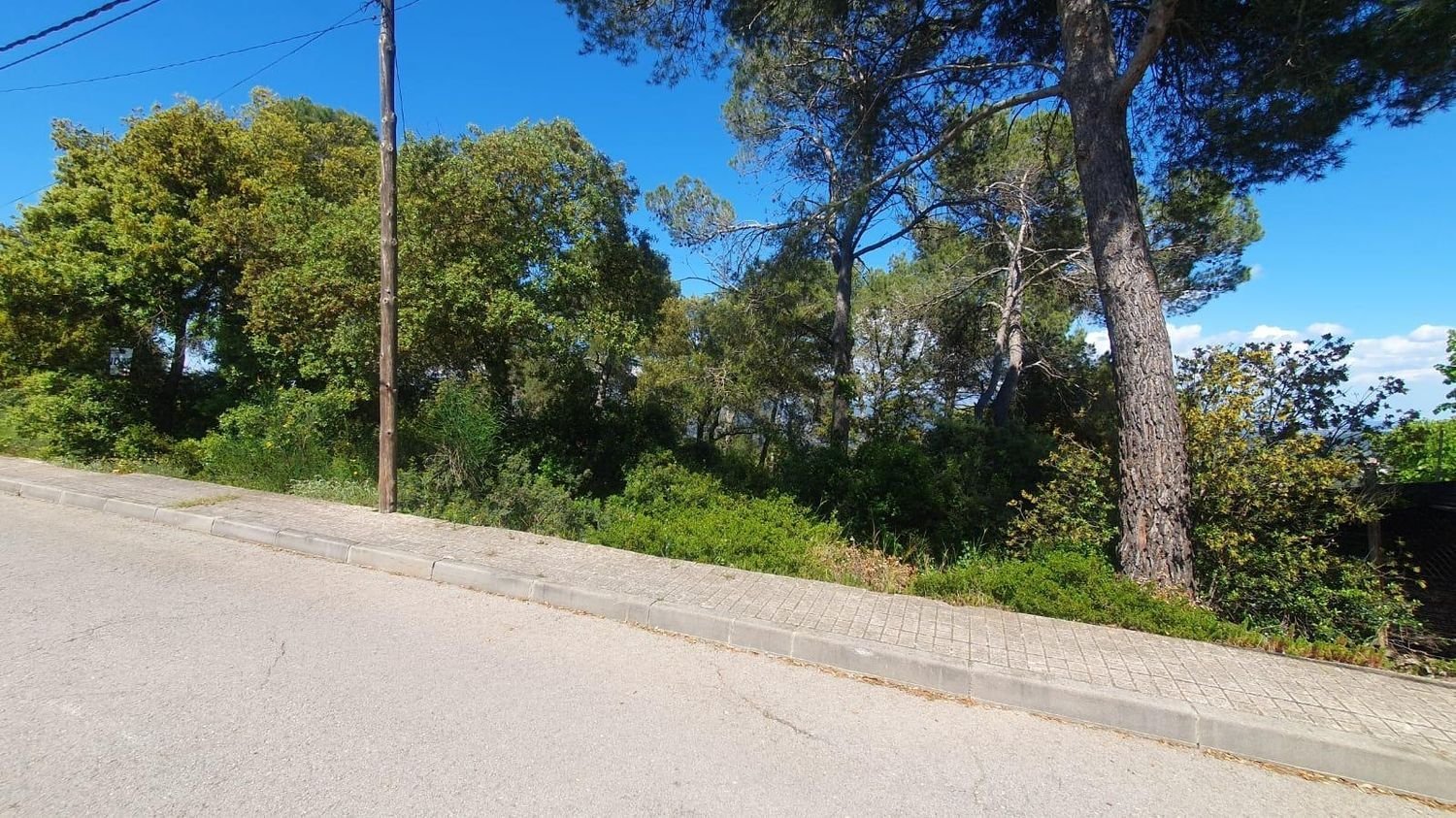  Land in La Torre de Claramunt, Spain No. 199960