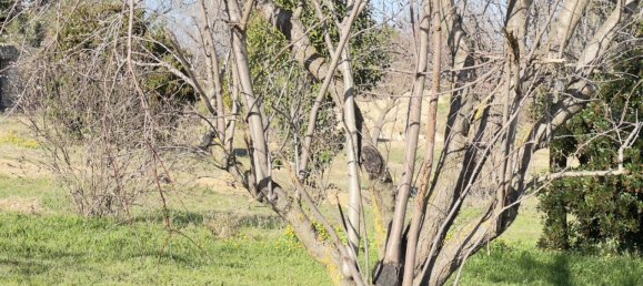 455m² Land in Saint-Alexandre, France No. 98736 24