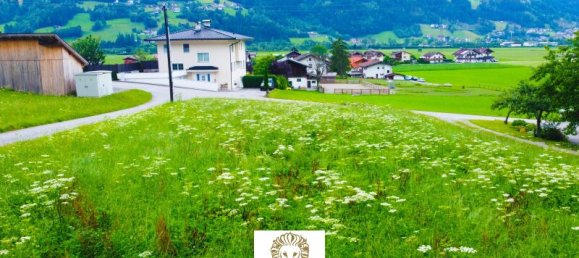  Land in Stumm, Austria No. 134432 4