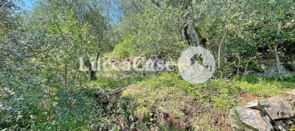 2 غرف نوم منزل في Lucca, Italy رقم 104647 4