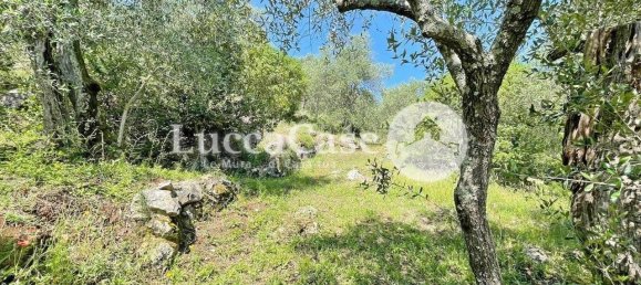 2 غرف نوم منزل في Lucca, Italy رقم 104647 33