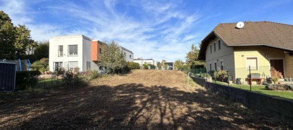 Land in Perchtoldsdorf, Austria No. 130486 6