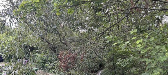 Land in Perchtoldsdorf, Austria No. 130486 11