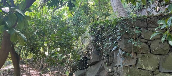  قطعة أرض في Giarre, Italy 6044متر مربع رقم 278113 21