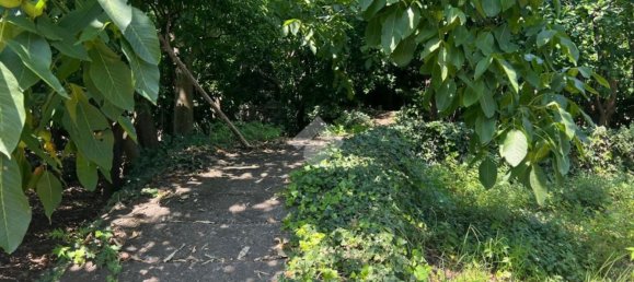  قطعة أرض في Giarre, Italy 6044متر مربع رقم 278113 14