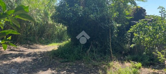  قطعة أرض في Giarre, Italy 6044متر مربع رقم 278113 17