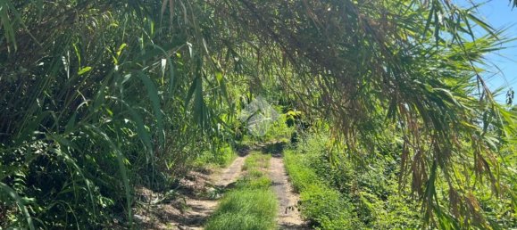  قطعة أرض في Giarre, Italy 6044متر مربع رقم 278113 24