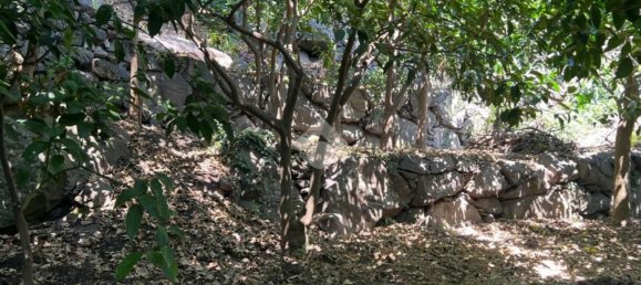  قطعة أرض في Giarre, Italy 6044متر مربع رقم 278113 13