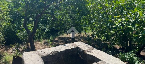  قطعة أرض في Giarre, Italy 6044متر مربع رقم 278113 10
