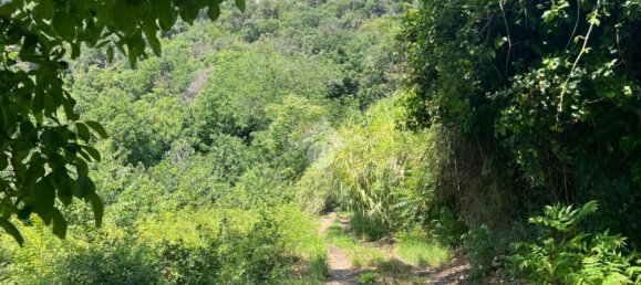  قطعة أرض في Giarre, Italy 6044متر مربع رقم 278113 23